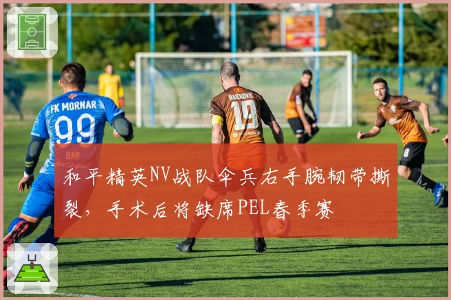 和平精英NV战队伞兵右手腕韧带撕裂,手术后将缺席PEL春季赛